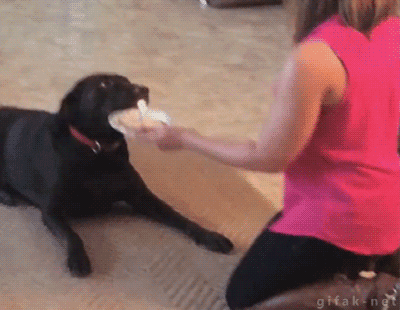 Daily GIFs Mix, part 764