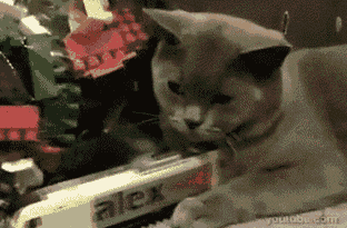 Daily GIFs Mix, part 765