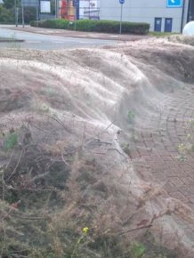 Giant Silk Web In London Looks Like Something Out Of A Horror Movie