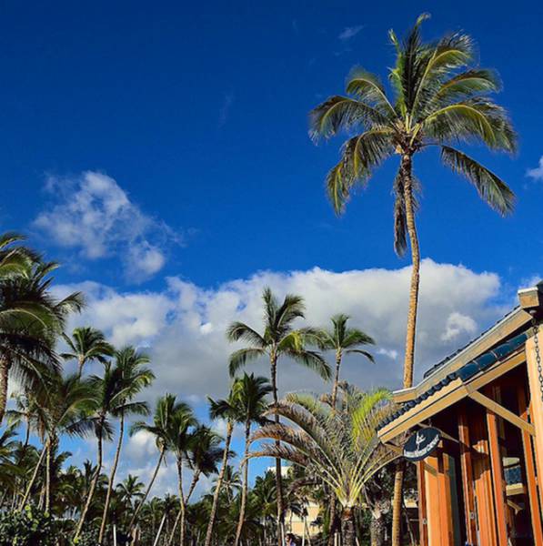 This Is Why Everybody Wants To Take A Vacation In Hawaii