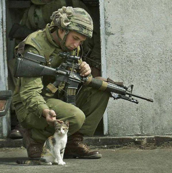 Soldiers Spend A Little Time Cuddling With Cats