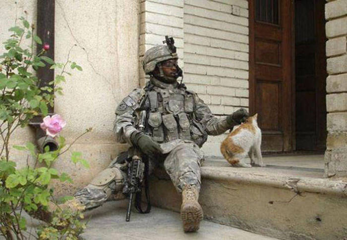 Soldiers Spend A Little Time Cuddling With Cats