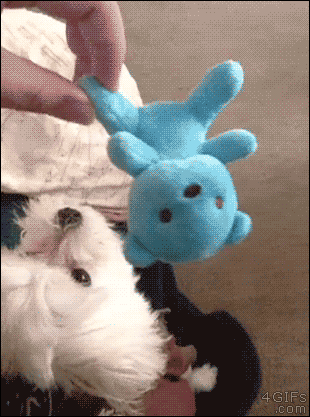 Daily GIFs Mix, part 767