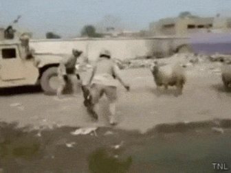 15 Gifs That Show Special Forces In Action