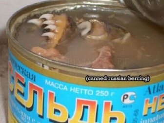 WTF Canned Food 