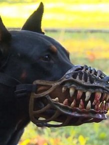 Scary Muzzle That Turns Any Dog Into A Beast