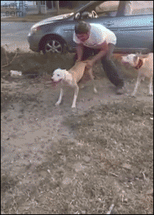 Daily GIFs Mix, part 775