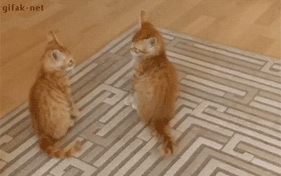 Daily GIFs Mix, part 775