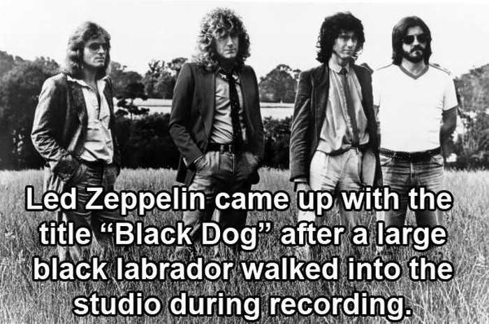 Rock & Roll Facts