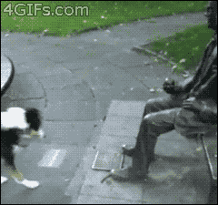 Daily GIFs Mix, part 778