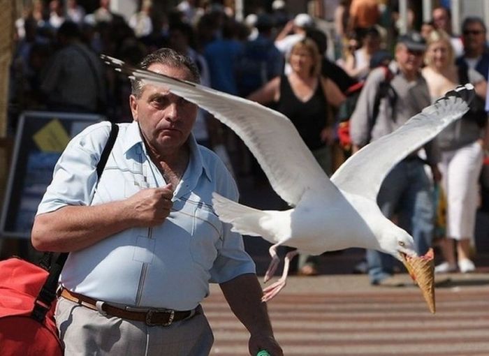 Perfectly Timed Photos, part 4