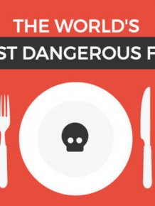 The Top 17 Most Dangerous Foods In The Entire World