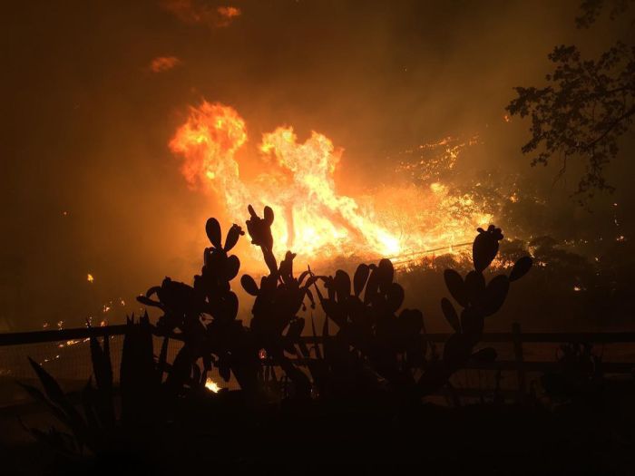 Wildfires Have Turned California Into A State Of Emergency
