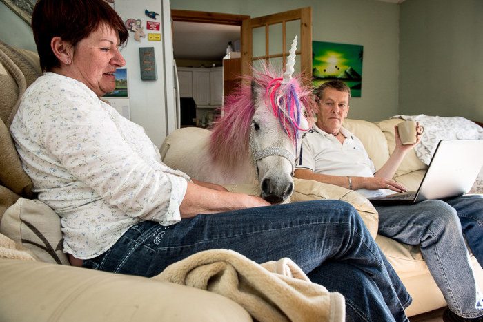Meet The Couple That Shares Their House With A Unicorn