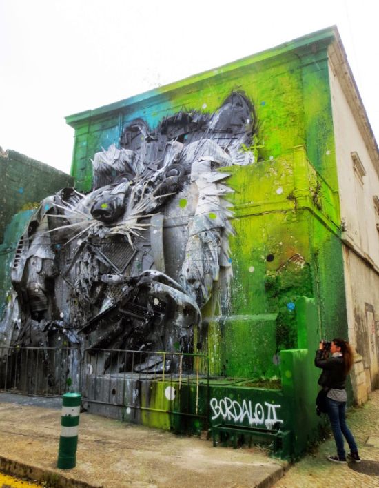 Big Raccoon Gets Turned Into 3D Street Art