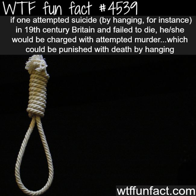 25 Fun Facts That Will Make You Say WTF