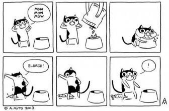 Funny Comics Perfectly Describe What It's Like To Own A Cat