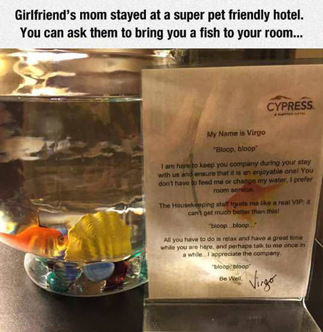 A Little Hotel Humor To Make Your Stay More Hilarious
