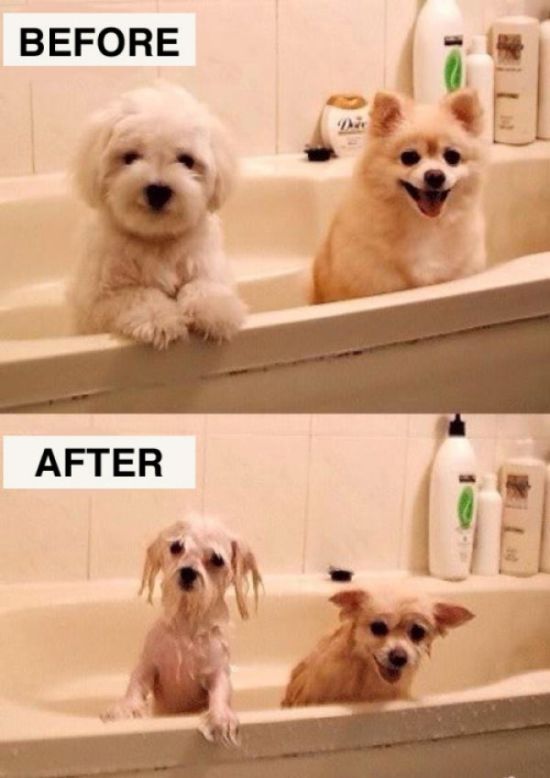 Before And After Pictures That Will Make You Laugh Out Loud