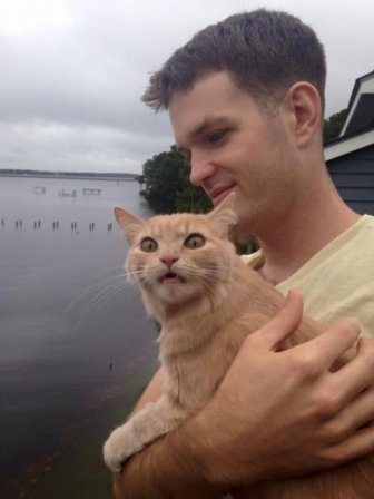 House Cat Freaks Out When It Sees The Outside World For The First Time