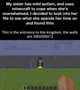 Girl With Autism Creates Incredible Kingdom In Minecraft