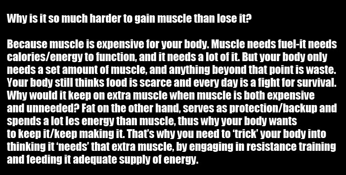Losing Muscle Is Easy, Gaining It Is The Hard Part
