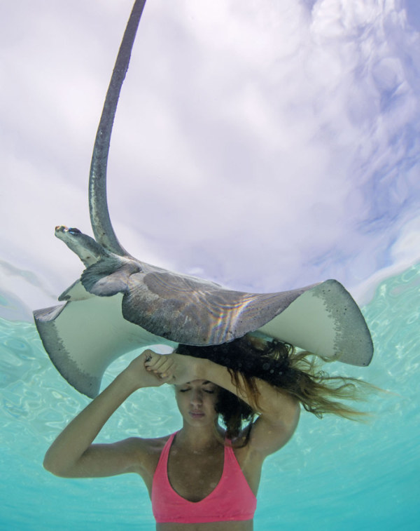 Underwater Photos Show Gorgeous Models Swimming With Stingrays
