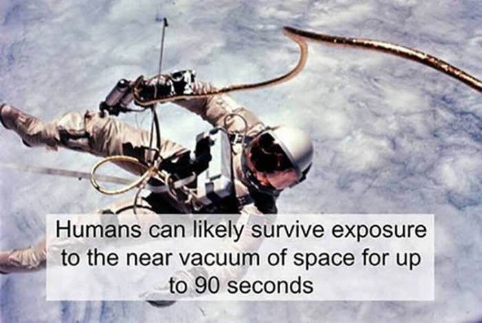 Fun And Fascinating Facts That Will Give Your Brain A Workout