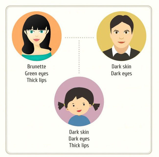 This Guide Will Help You Figure Out What Your Future Children Will Look Like