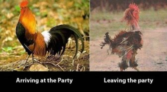 Funny Before and After Pictures That Tell It Like It Is