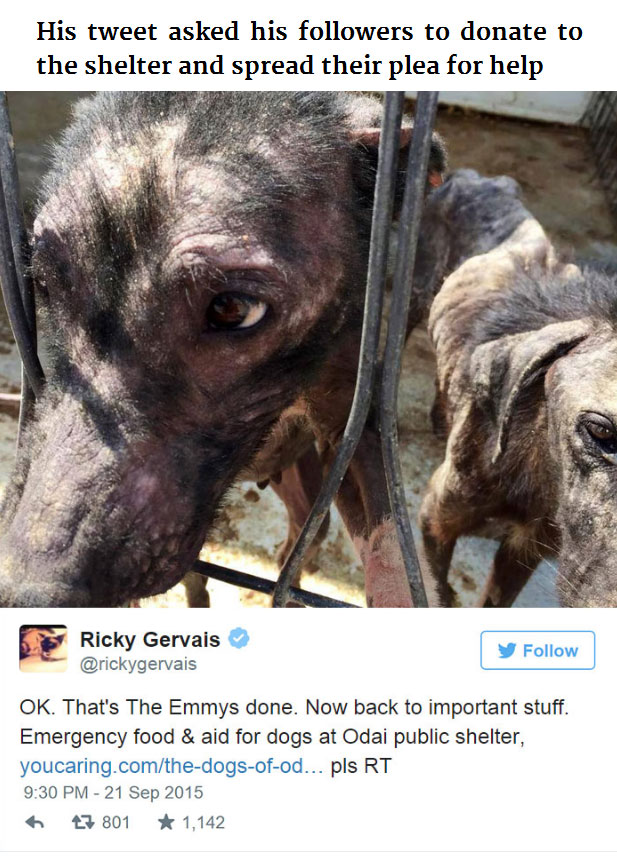 Ricky Gervais Used Twitter To Save Hundreds Of Dogs