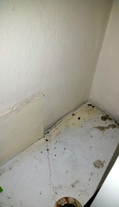 Rogue Landlords Busted During London Housing Crackdown