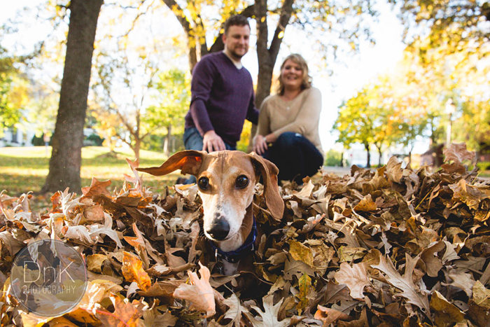 Couple’s Engagement Pictures Get Photobombed By A Wiener Dog