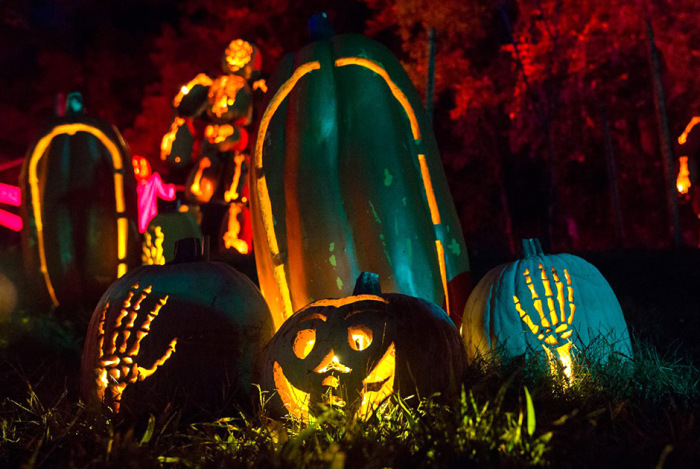 Thousands Of Pumpkins On Display At The Great Jack O' Lantern Blaze In New York