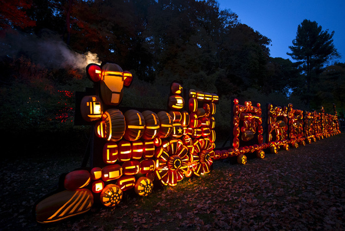 Thousands Of Pumpkins On Display At The Great Jack O' Lantern Blaze In New York