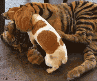 Daily GIFs Mix, part 162