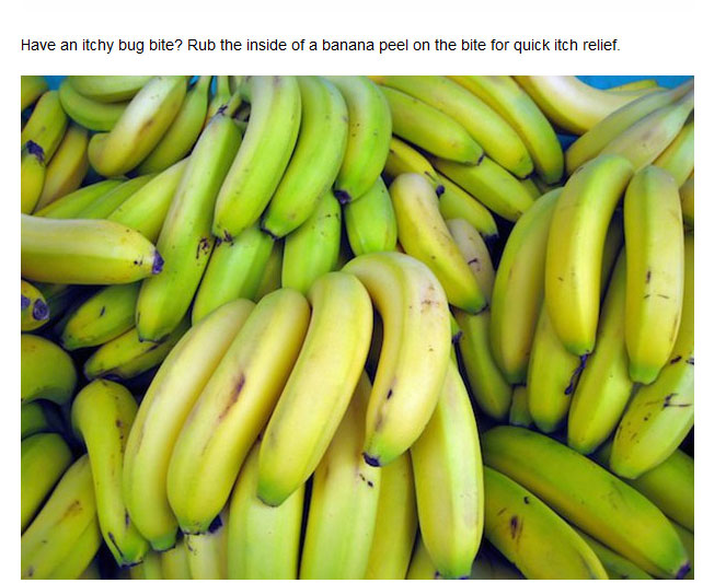 define eloquent bananas