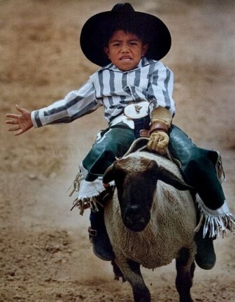 Children riding sheep