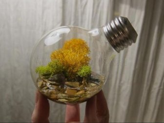 New Life Of Old Light Bulbs 
