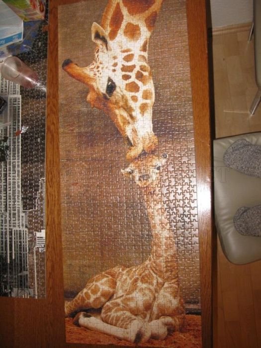 the-world-s-largest-puzzles-others