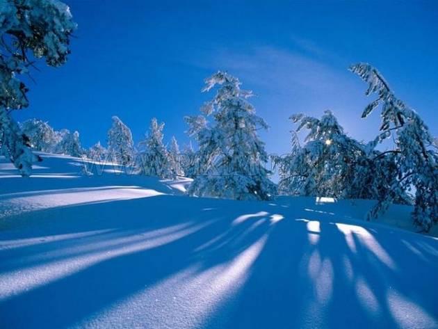 Beautiful Winter