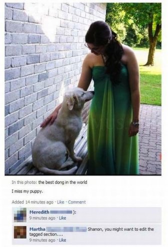 Funny Spelling Fails on Facebook 