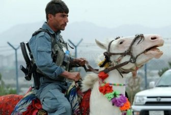 Working Routine of Afghan National Police