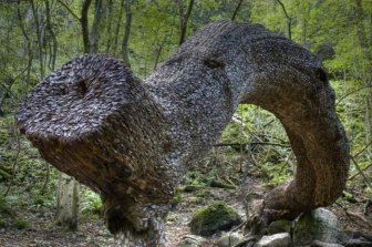 Money Tree That Brings Good Luck in Great Britain 