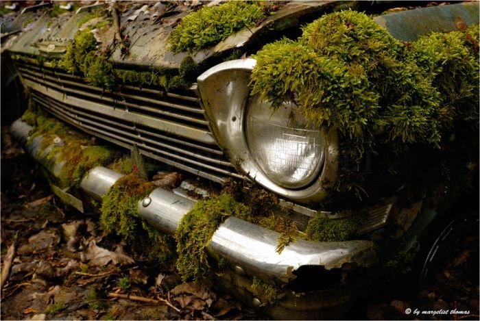 The Final Resting Place of 1000 Cars in Switzerland 