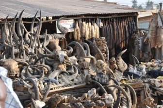 Voodoo Supermarket in Togo 