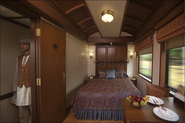 Luxurious Indian Train 