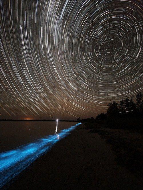 Bioluminescent Lake in Australia