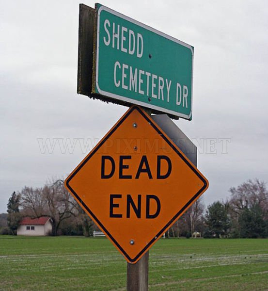 Bizarre real life road signs