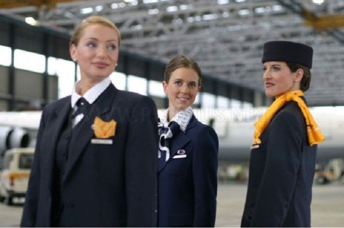 Flight Attendants from All Over the World 